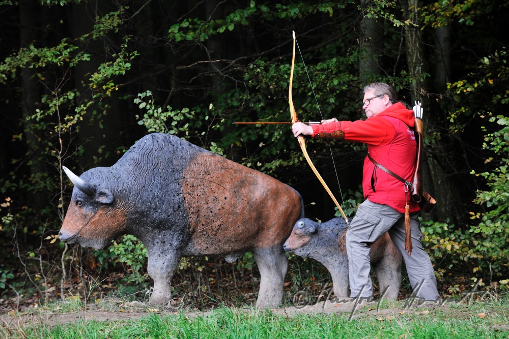 bowman shooting near a fake Bison at the 3D-parcours