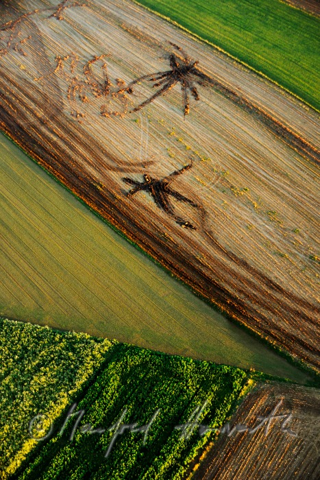 tracks of a tractor in a harvested cornfield