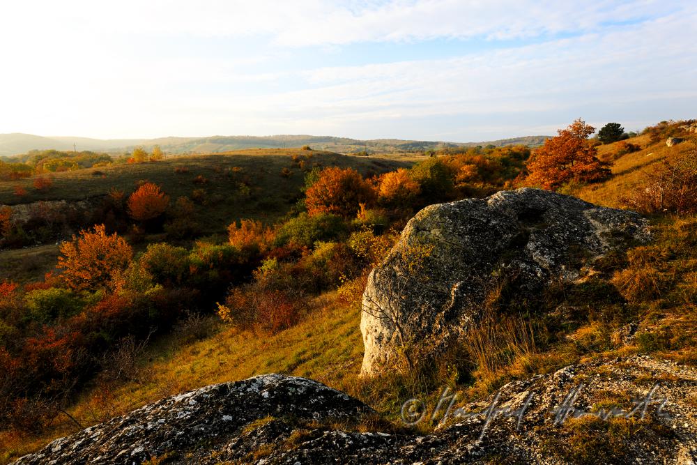 karstified sandstone on a scarp of the heather