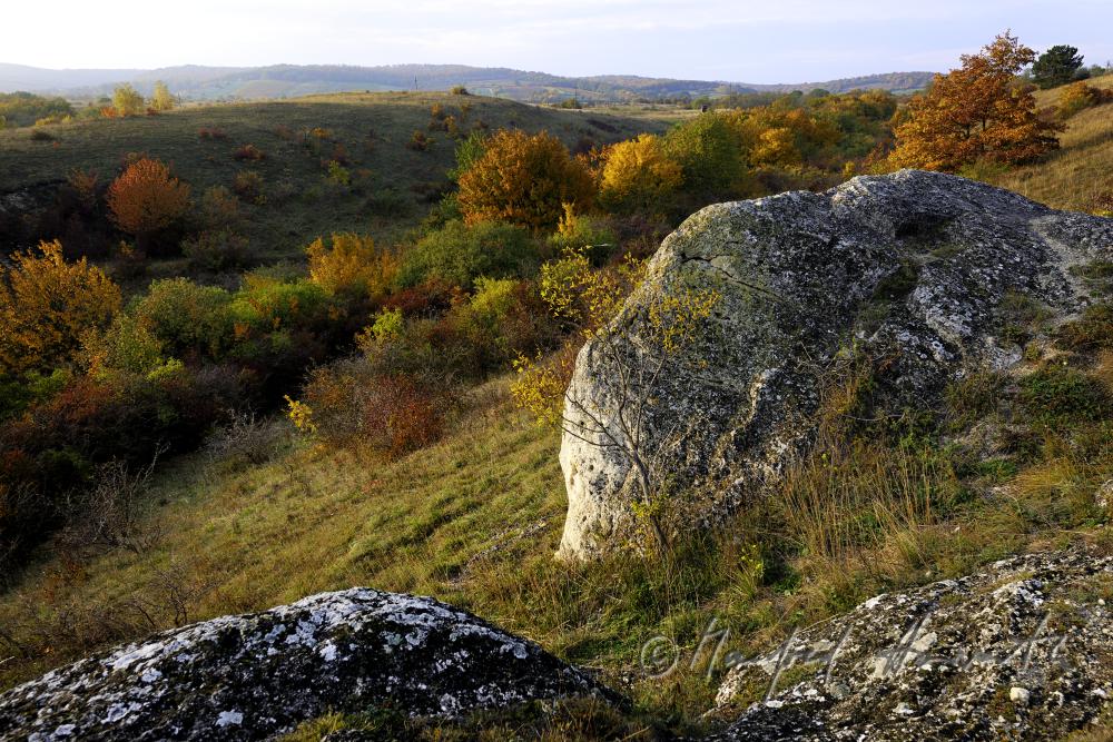 karstified sandstone on a scarp of the heather