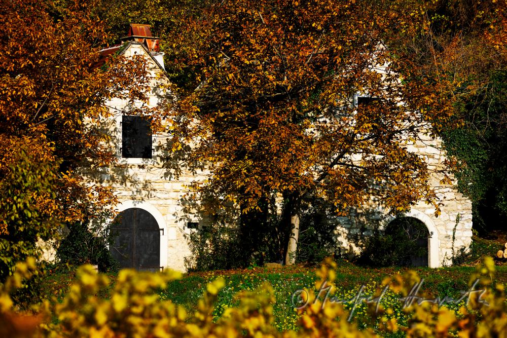 wine cellars near Bärenhöhle