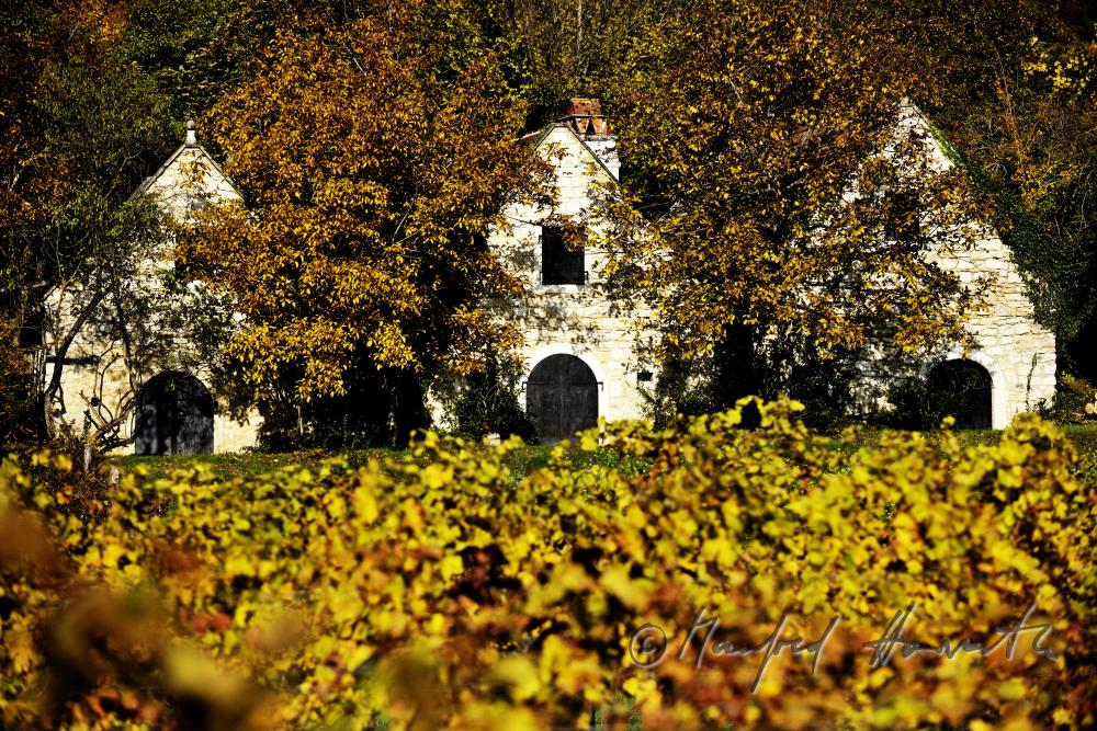 wine cellars near Bärenhöhle