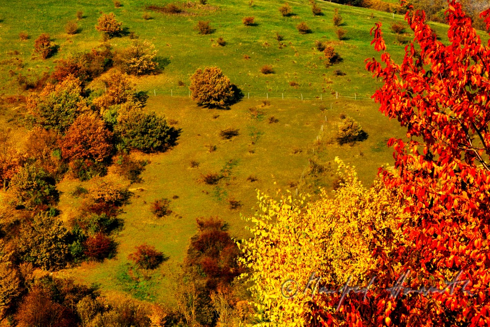 view from the Mahdberg to the Ährenfeld