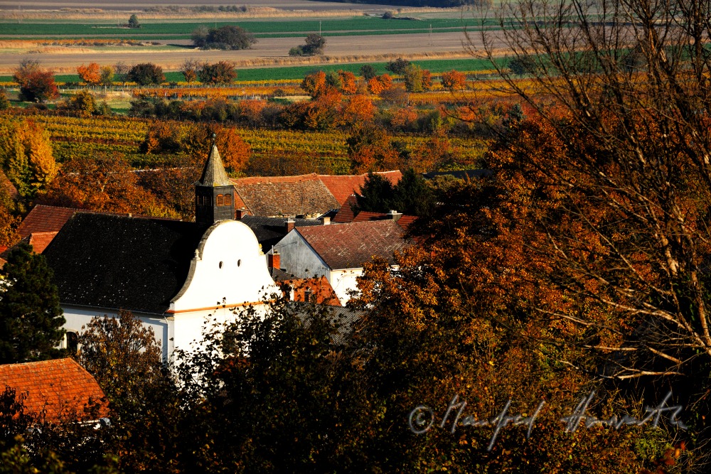view from the Ährenfeld to the Nepomuk-chapel