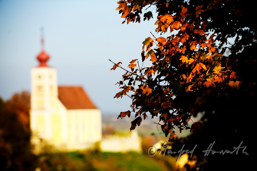 view from the Ährenfeld to the fortifed church