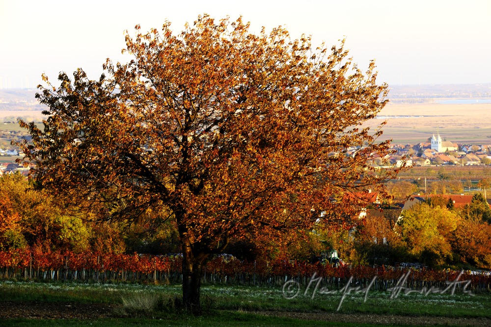 view from the north to the village of Winden