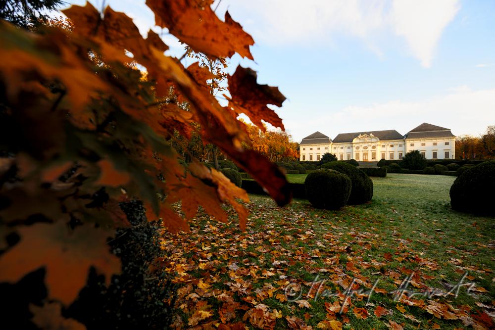 baroque landscape park and southern facade