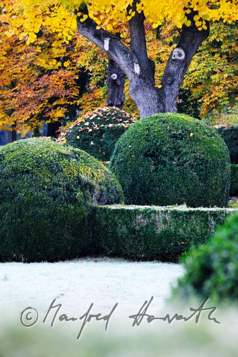 box trees in the baroque landscape park