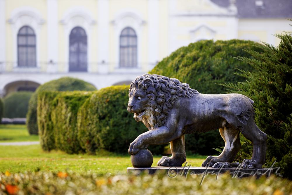 garden-sculpture of a lion