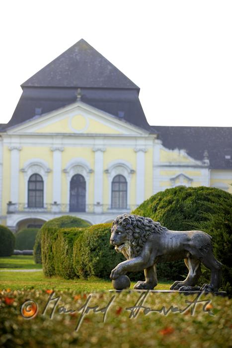 garden-sculpture of a lion