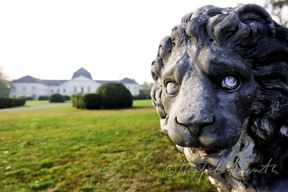 garden-sculpture of a lion