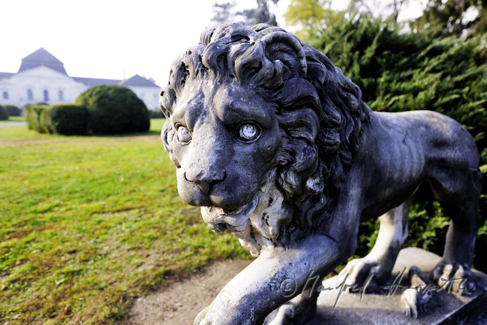 garden-sculpture of a lion