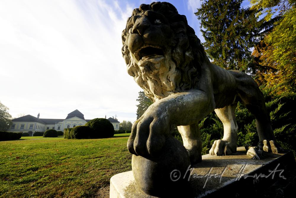 garden-sculpture of a lion