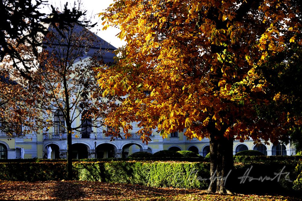main fassade of the castle and castle park