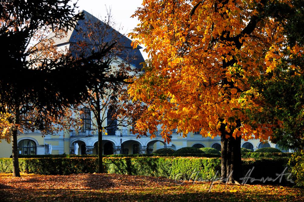 main fassade of the castle and castle park