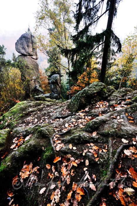 the rock formation 