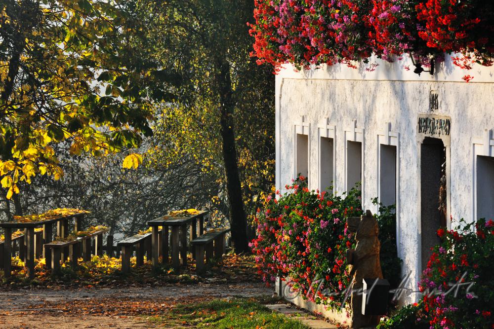benches of a wine tavern in front of the farm house