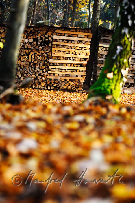 pile of wood
