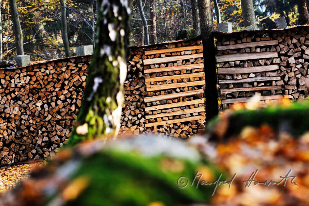 pile of wood