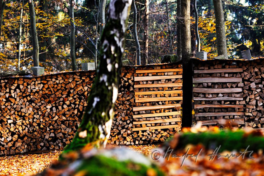pile of wood