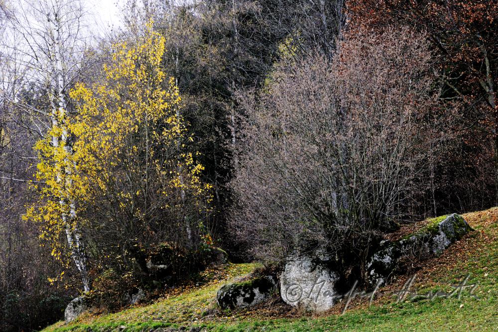 granite boulder on the forest glade near the Ederbauer Farm