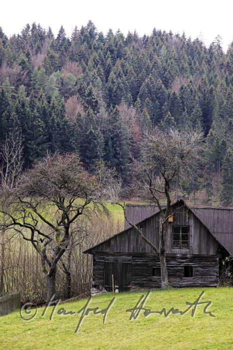 log house of the farm 