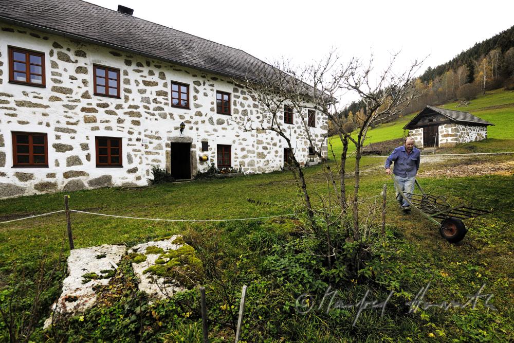 farmer with a sack barrow on his way to harvest apples