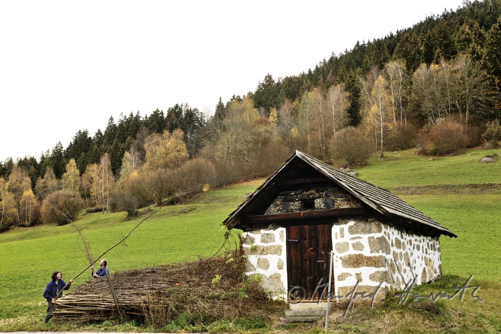 farmers stacking wooden poles near the bakehouse