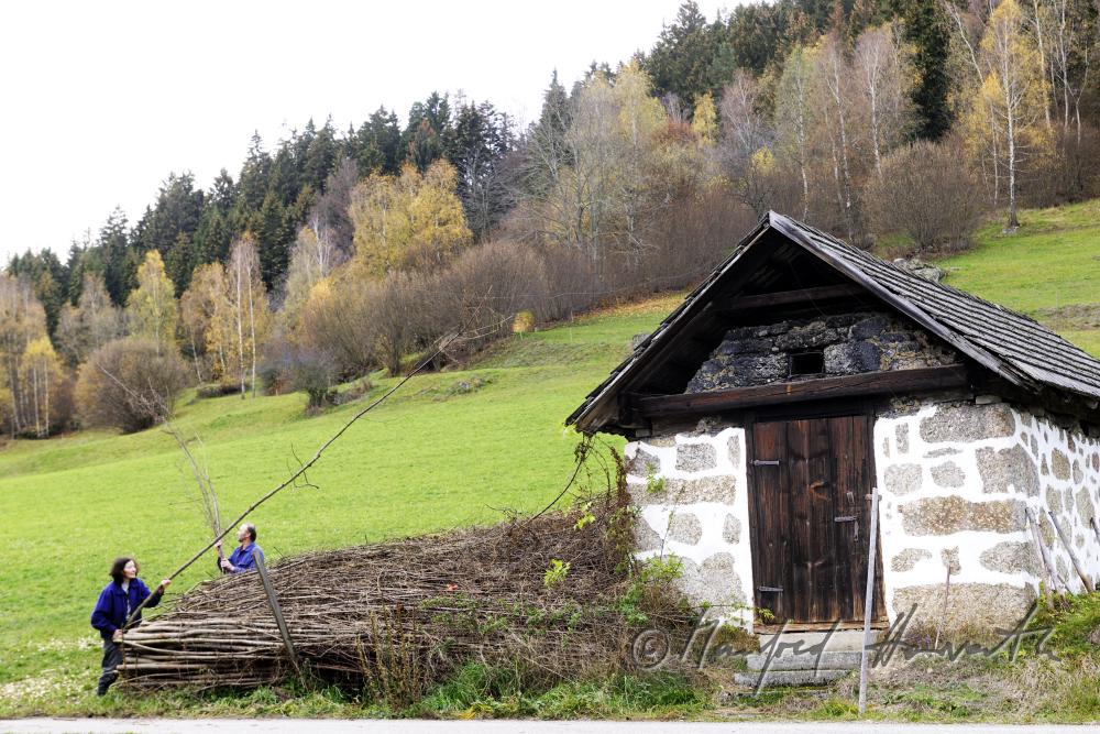 farmers stacking wooden poles near the bakehouse