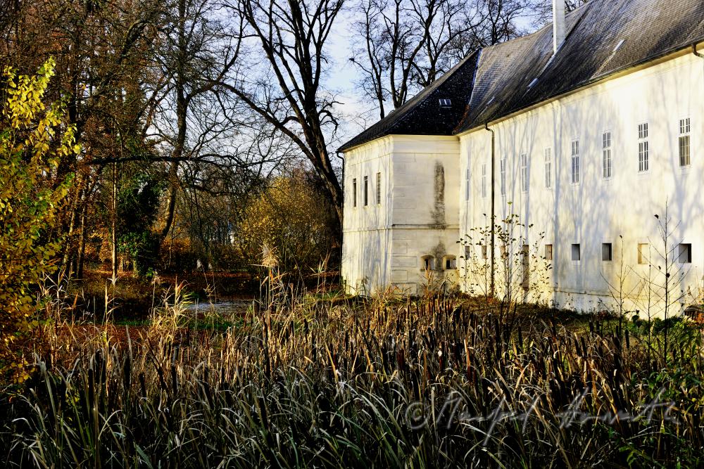 eastern fassade and reed in the former ditch