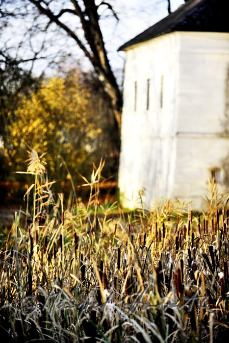 eastern fassade and reed in the former ditch