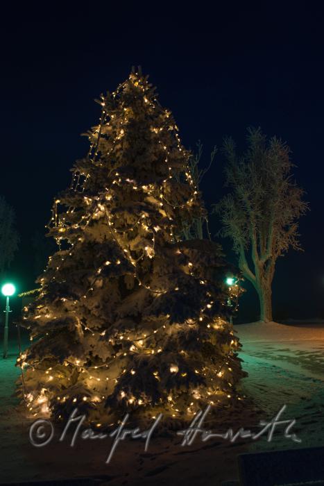christmas tree on the main square