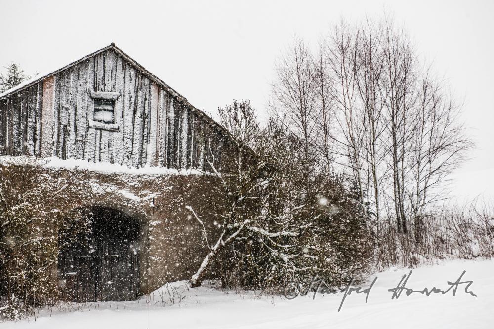 wooden shanty and snow fall