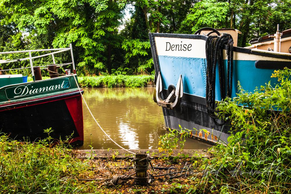 house boats anchoring at the 