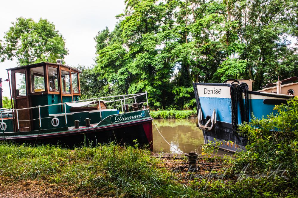 house boats anchoring at the 
