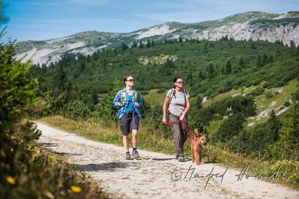 hikers with dog on the panorama path