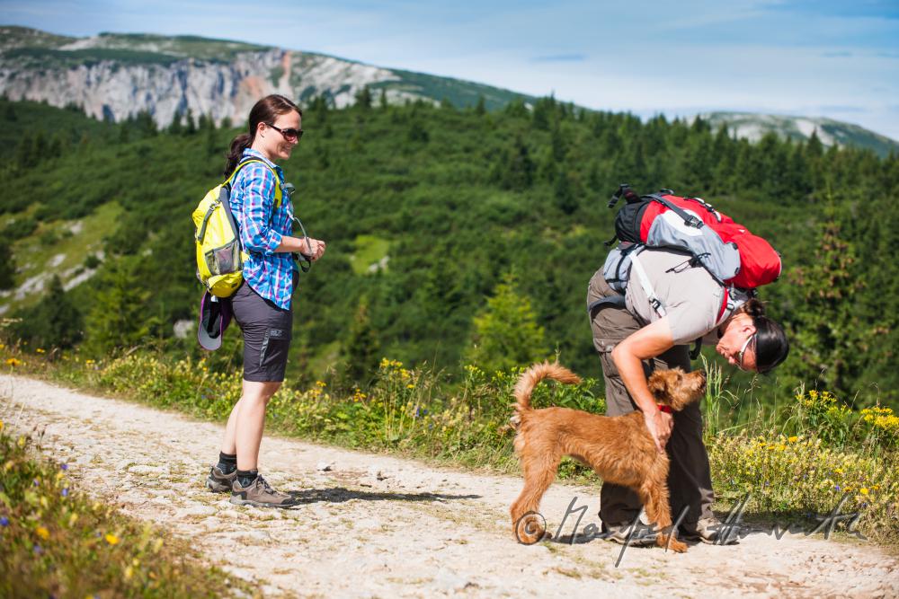 hikers with dog on the panorama path