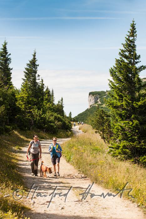 hikers with dog on the panorama path