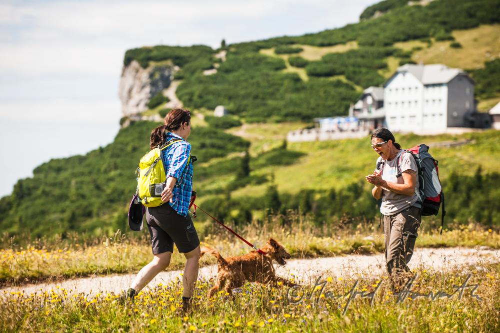 hikers with dog on the panorama path