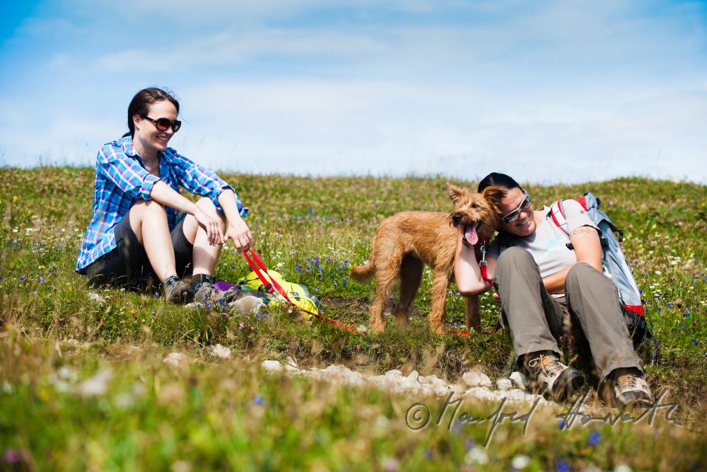 hikers with dog on the panorama path