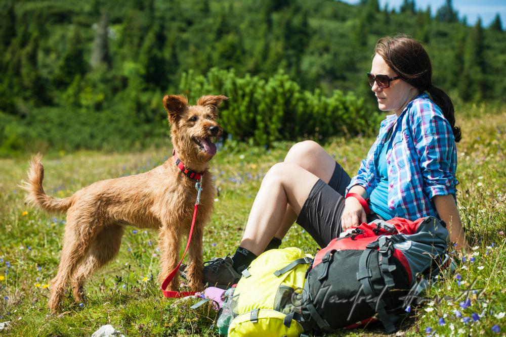 hiker with her dog on the high route