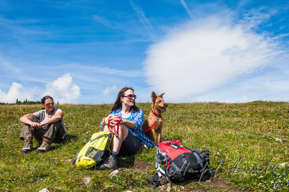 hikers with dog on the panorama path