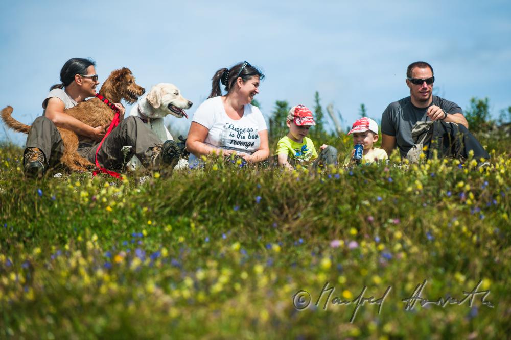 hikers with their dogs resting on the wayside
