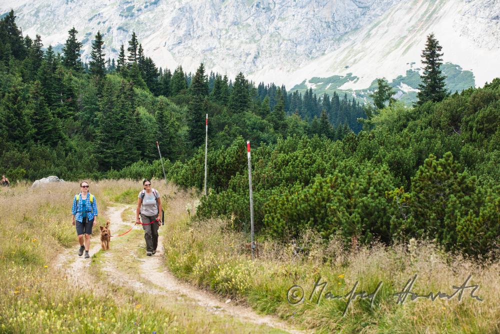 hikers with dog on the panorama path