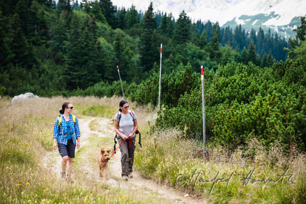 hikers with dog on the panorama path