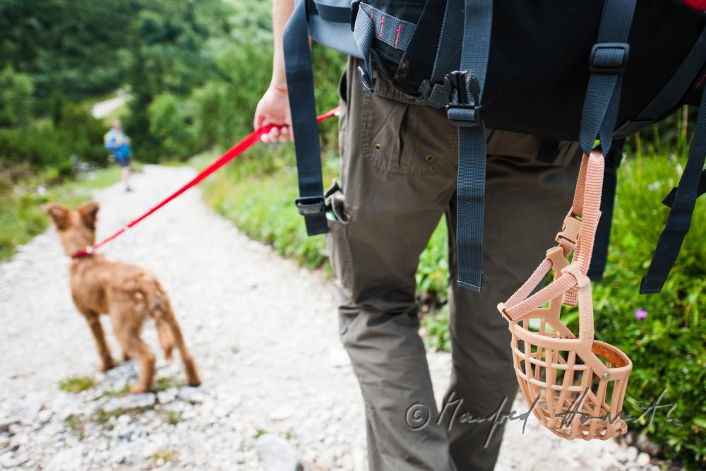 hiker with her dog on the high route