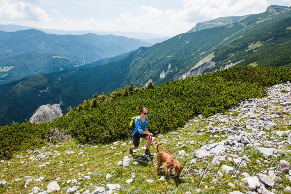 hiker with her dog on the high route near the Preinerwand