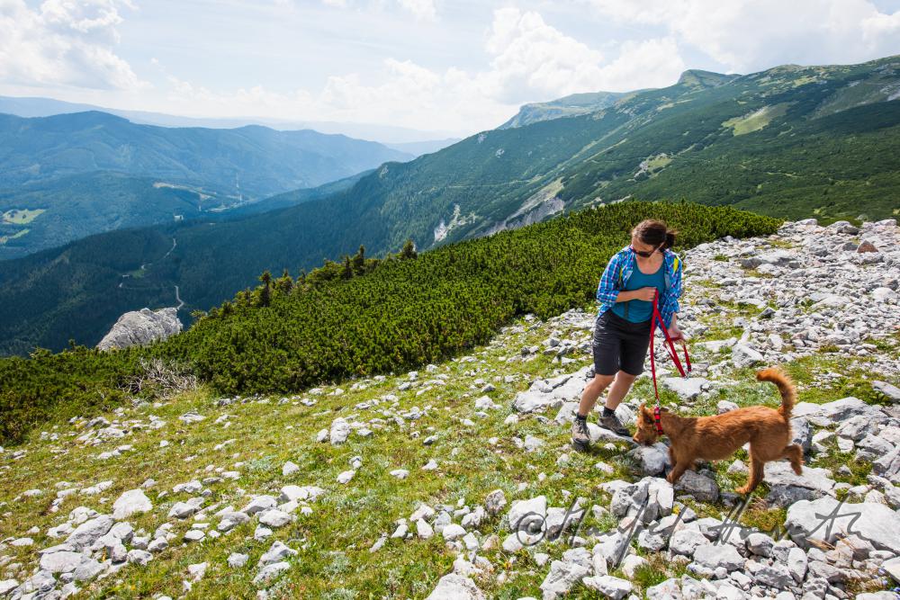 hiker with her dog on the high route near the Preinerwand