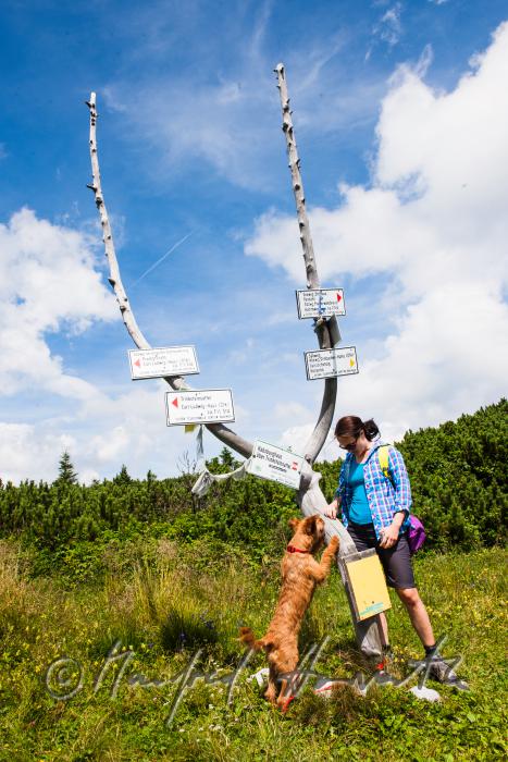 hiker with her dog near the direction sign of the 