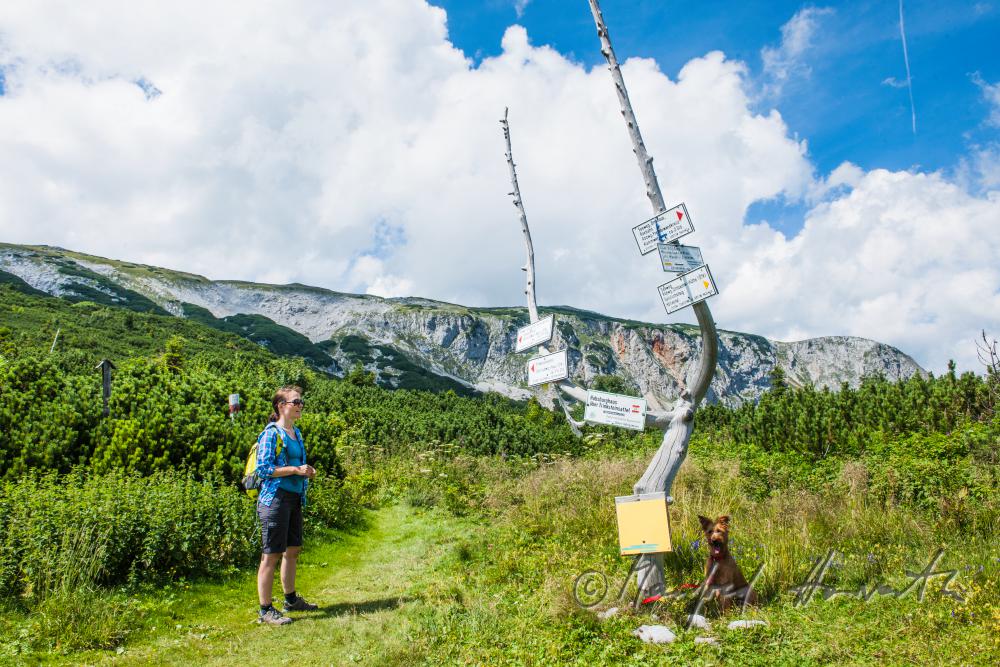 hiker with her dog near the direction sign of the 
